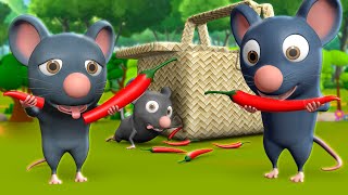 Chuhe Ke Muh Mirchi 3D Animated Hindi Stories for Kids चूहे के मूह मिर्ची कहानी Moral Stories Tales [upl. by Ynohtnaed]