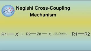 Negishi CrossCoupling Mechanism  Organic Chemistry [upl. by Yerg]