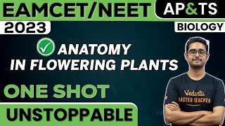 Anatomy In Flowering Plants In One Shot  Biology  NEET 2023  EAMCET  Ajay Sir [upl. by Nomahs]