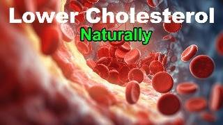 Lower Cholesterol Reduce the Bad LDL and Boost the Good HDL [upl. by Magnum456]