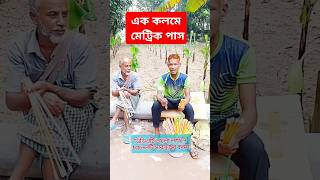 এক কলমে মেট্রিক পাস ytshorts yttrendingshort foryou trending reels [upl. by Ameehsat]