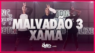 Malvadão 3  Xamã Prod DJ Gustah amp Neobeats FitDance Coreografia  Dance Video [upl. by Hiro]