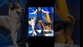 Americas Got Talent Dogs Magic😱😨  Duo SchumacherAGTamericagottalentmagic [upl. by Frayne502]