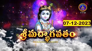 శ్రీమద్భాగవతం  Srimad Bhagavatham  Kuppa Viswanadha Sarma  Tirumala  07122023  SVBC TTD [upl. by Salinas]