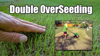 Fall Lawn Overseeding [upl. by Phillipe]