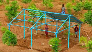 Real Quick Building of Shed with SheetMetal for Roof  Making Shed for Cow Cattle amp Goats in 3 days [upl. by Yrrej543]