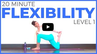 20 minute Yoga for Flexibility Level 1 Full Body Yoga Stretch [upl. by Mclyman]