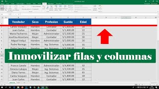 COMO DESACTIVAR INMOVILIZAR paneles en Excel paso a paso [upl. by Jansson927]