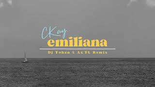 CKay  emiliana DJ Yohan amp AxEL Remix Official Lyric Video [upl. by Vergos824]