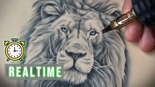 REAL TIME TATTOO  Realistic Lion Portrait [upl. by Medwin326]