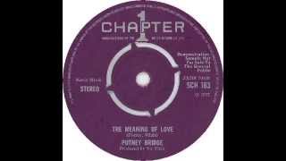 Putney Bridge  Meaning Of Love 1972 RARE [upl. by Yeldua757]