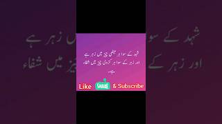 viralvideo newchannnel islamicvideo quotes love [upl. by Mercer]