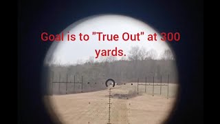 True Out scope at 300 yards Palmetto 223 Wylde [upl. by Erlandson214]