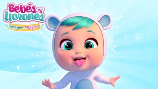 ❄️ KRISTAL SE DIVIERTE ❄️ BEBÉS LLORONES 💧 LÁGRIMAS MÁGICAS 💕 DIBUJOS ANIMADOS para NIÑOS en ESPAÑOL [upl. by Knorring]