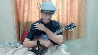 BAR BAR DIN YE AAYE on MANDOLIN by PRADIP CHHAPWALE 352024 [upl. by Kernan]