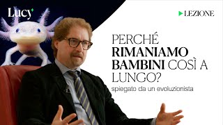 Perché rimaniamo bambini così a lungo La lezione di Telmo Pievani  Lucy  Sulla cultura [upl. by Lednahs]