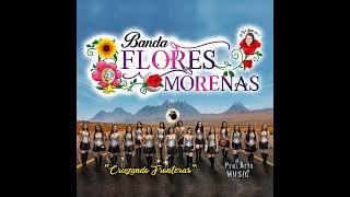 Banda Flores Morenas  06 Camaron pelao [upl. by Vullo651]