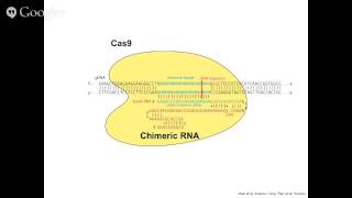 CRISPR Cas Technology and its Applications [upl. by Ahsaya641]