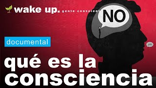 Explicación científica de la Consciencia [upl. by Hilleary]