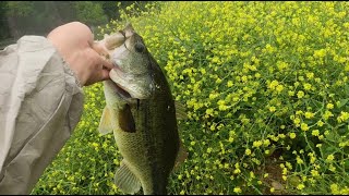 Cibolo Creek Fishing No BS Just Catches [upl. by Rases]