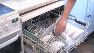 Salmon in a Dishwasher [upl. by Maltzman]