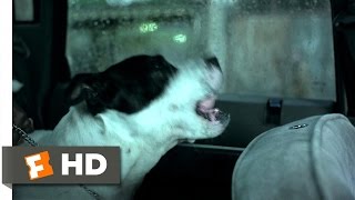 Squeaky Dog  Snatch 38 Movie CLIP 2000 HD [upl. by Duffy380]