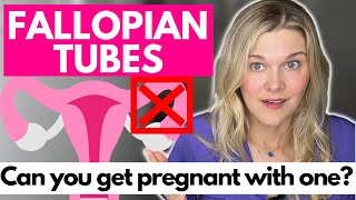 Can You Get Pregnant with One Fallopian Tube What Can Cause A Blocked Tube [upl. by Trenna147]