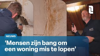 Kopers nemen steeds meer risicos in race om nieuwe woning 🏠💶  L1 Nieuws [upl. by Thormora976]