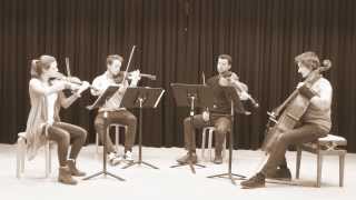 Feuerbach Quartett  Skyfall Adele [upl. by Narok]