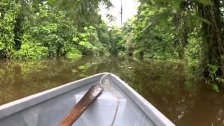 Tortuguero National Park  Costa Rica [upl. by Argyres]