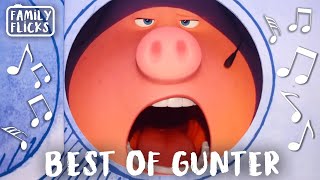 Best Of Gunter Nick Kroll  Sing 2016 and Sing 2 2021  Family Flicks [upl. by Agostino746]