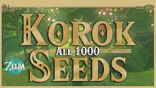 All 1000 Korok Seeds • Zelda Tears of the Kingdom TOTK [upl. by Eanat930]