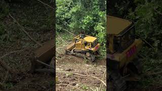 Breaking Wood with the D6R XL Bulldozer is a Quick and Effective Solution in Plantations [upl. by Wilek]