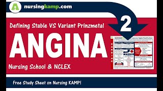 Stable angina variant prinzmetal angina nursing kamp 2020 [upl. by Gnuhp235]