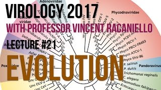 Virology Lectures 2017 21 Evolution [upl. by Acyre]