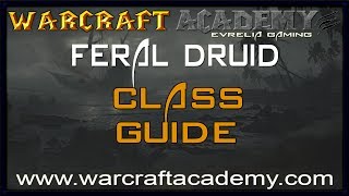 54 Feral Druid DPS Guide  Warcraft Academy [upl. by Bradan729]