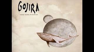 Gojira  Flying Whales Intro Only [upl. by Herrera449]