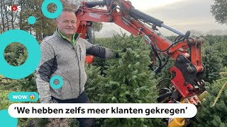 Duizenden vernielde kerstbomen toch verkocht [upl. by Sucrad]