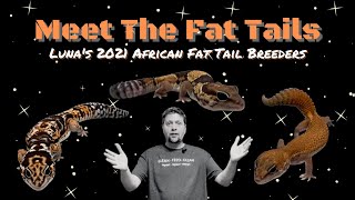 Meet The Fat Tails  Lunas 2021 African Fat Tail Breeders [upl. by Avner]