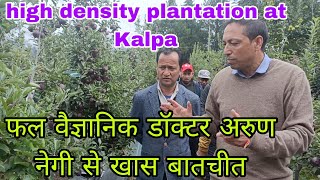 high density plantation at Kalpa हाई डेंसिटी प्लांटेशन केबारे में डॉ अरुण नेगी देरहे हैं जानकारी [upl. by Hiroko]