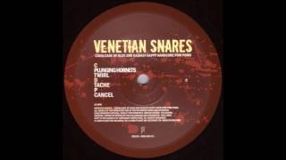 Venetian Snares  Plunging Hornets [upl. by Fairweather]