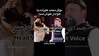 تفاوت صدای سر با صدای سینه در اجرای محمد علیزاده با هوادار خوش صدا حاضر در سالن [upl. by Shoshanna]