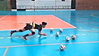 Best Libero Volleyball Trainings 2018 HD [upl. by Alick411]