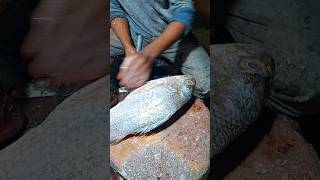 Sea Food Koral Fish Amazing Cutting Skills 👈🐟 shorts sfishcutting [upl. by Randy903]