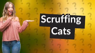 Is it humane to scruff a cat [upl. by Jeff859]