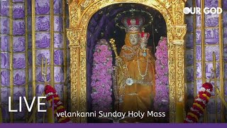 velankanni live mass today  velankanni live [upl. by Anesusa]