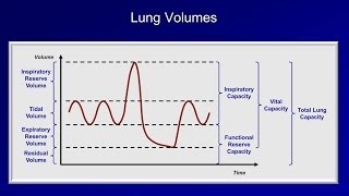 Pulmonary Function Tests PFT Lesson 1  An Introduction [upl. by Allenad92]