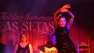 Tablao Flamenco Las Setas en Sevilla [upl. by Hedda]