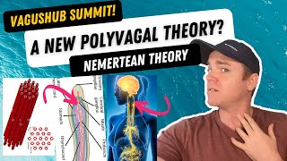 The Future of Vagus Nerve Stimulation Nemertean Theory  2hr MEGA SPACE [upl. by Isus395]