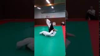 USEE Aïkido  Ushiro ryo kata dori Shiho nage [upl. by Havelock851]